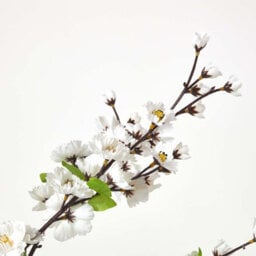 Homescapes Artificial White Handcrafted Blossom Tree With Silk Flowers, 5 Ft - thumbnail 4
