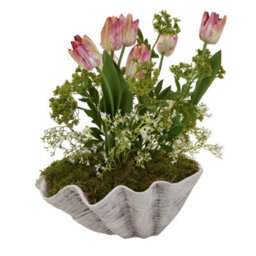 Large Ceramic Adele Shell Bowl - Coastal Decor & Versatile Use - thumbnail 3