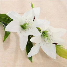 6 (37Cm) White Artificial Lily Flowers, White Bouquets, Realistic Faux Lily Flower For Wedding Party, Home Decor - thumbnail 2