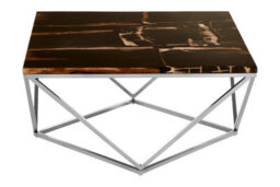 Orsina Relic Dark Petrified Wood Top Coffee Table - thumbnail 5