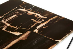 Orsina Relic Dark Petrified Wood Top Coffee Table - thumbnail 4