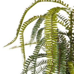 Wyld And Coco Lifelike Fern Artificial Plant 105Cm Green And Black, Bendable Twigs And Cement Base - thumbnail 3