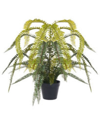 Wyld And Coco Lifelike Fern Artificial Plant 105Cm Green And Black, Bendable Twigs And Cement Base - thumbnail 2