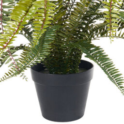 Wyld And Coco Lifelike Fern Artificial Plant 105Cm Green And Black, Bendable Twigs And Cement Base - thumbnail 5