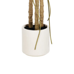 Wyld And Coco Monstera 221 Cm Tall Artificial Plant With Cement Pot, Green Indoor Decor - thumbnail 5