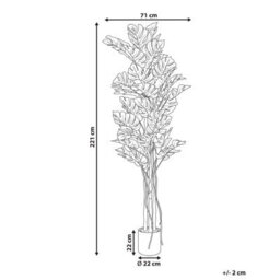 Wyld And Coco Monstera 221 Cm Tall Artificial Plant With Cement Pot, Green Indoor Decor - thumbnail 4