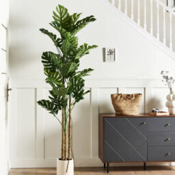 Wyld And Coco Monstera 221 Cm Tall Artificial Plant With Cement Pot, Green Indoor Decor - thumbnail 2