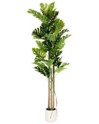 Wyld And Coco Monstera 221 Cm Tall Artificial Plant With Cement Pot, Green Indoor Decor - thumbnail 1