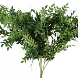 Leaf Pack Of 6 X 100Cm Artificial Fern Foliage Stem - thumbnail 1