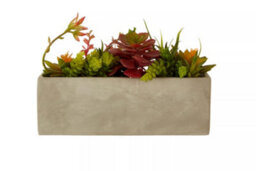 Premier Housewares Fiori Mixed Succulents With Cement Pot Artificial Plant Foliage - thumbnail 1