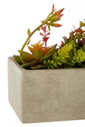 Premier Housewares Fiori Mixed Succulents With Cement Pot Artificial Plant Foliage - thumbnail 8
