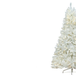 Christmas Tree World The 7Ft/210Cm Pre-Lit Bianca Pine Tree With Warm White Lights - thumbnail 9