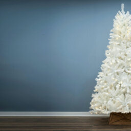 Christmas Tree World The 7Ft/210Cm Pre-Lit Bianca Pine Tree With Warm White Lights - thumbnail 3