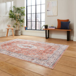 Terra Traditional Bordered Geometric Rug Easy To Clean Living Room And Bedroom-120Cm X 170Cm - thumbnail 2