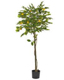 Wyld And Coco Living Lemon Tree Artificial Plant 156Cm Indoor Decorative Tree With Lifelike Fruit And Glossy Leaves - thumbnail 1