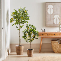Wyld And Coco Living Lemon Tree Artificial Plant 156Cm Indoor Decorative Tree With Lifelike Fruit And Glossy Leaves - thumbnail 2