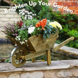 Marco Paul Large Wooden Wheelbarrow Flower Planter - thumbnail 6