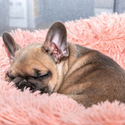 Fur & Bone 70 Cm Washable Plush Donut Dog Bed With Waterproof Non-Slip Base - Pink - thumbnail 2