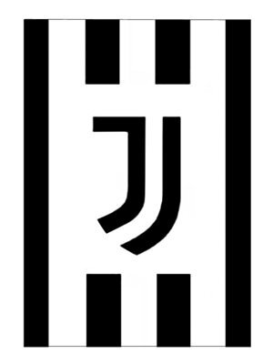 Juventus Fc Logo Fleece Blanket - image 1