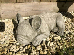 Burgess French Bulldog Stone Statue Outdoor Garden Ornament Puppy Dog British Made Sculpture - thumbnail 2