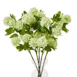 Hill Interiors Snowball Viburnum Artificial Flower Spray Green (One Size) - thumbnail 2
