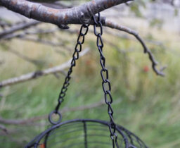 Redwood Leisure Redwood Ball Steel Nut Bird Feeder - Grey - thumbnail 7