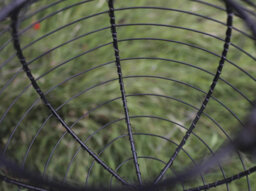 Redwood Leisure Redwood Ball Steel Nut Bird Feeder - Grey - thumbnail 4