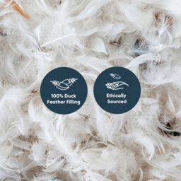 Lancashire Textiles Duck Feather Cotton Cambric With Piped Edge Machine Washable Pillow Pair - thumbnail 6