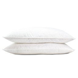 Lancashire Textiles Duck Feather Cotton Cambric With Piped Edge Machine Washable Pillow Pair - thumbnail 1