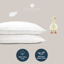 Lancashire Textiles Duck Feather Cotton Cambric With Piped Edge Machine Washable Pillow Pair - thumbnail 4