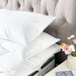 Lancashire Textiles Duck Feather Cotton Cambric With Piped Edge Machine Washable Pillow Pair - thumbnail 3