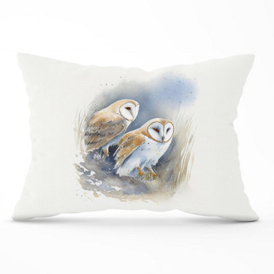 Warren Reed Designer Barn Ano Owls Watercolour Cushions 33Cm X 48Cm