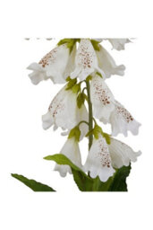 Natural Garden Collection White Foxglove Artificial Flower - thumbnail 2