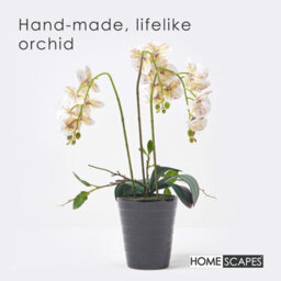 Homescapes Artificial White Handcrafted Orchid Phalaenopsis In Ceramic Pot, 56 Cm - thumbnail 2