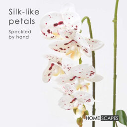 Homescapes Artificial White Handcrafted Orchid Phalaenopsis In Ceramic Pot, 56 Cm - thumbnail 3