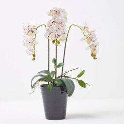 Homescapes Artificial White Handcrafted Orchid Phalaenopsis In Ceramic Pot, 56 Cm