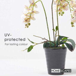 Homescapes Artificial White Handcrafted Orchid Phalaenopsis In Ceramic Pot, 56 Cm - thumbnail 5