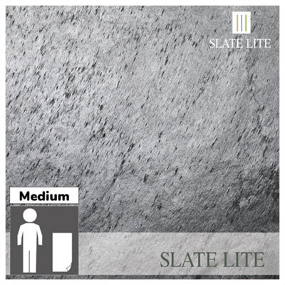 Lite Stone Argento Slate Veneer 30 X 20Cm Sample - image 1