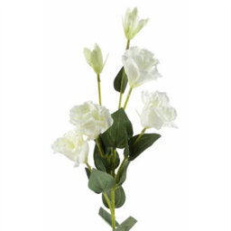 Leaf 80Cm Artificial White Wild Rose Stem - 6 Flowers
