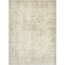 Livabliss Becki Owens Margot-Vintage Blue Pink Green Traditional Vintage Boho Living Dining Bedroom Rug 120 X 170 Cm Easy Care, Non Shedding - thumbnail 2