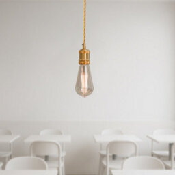 Vintage French Gold Metal E27 Pendant Light 2M Cable, Lamp Holder - thumbnail 7