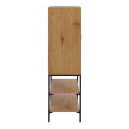 Furniture To Go Jaipur Cabinet With 2 Doors In Wild Oak - thumbnail 3