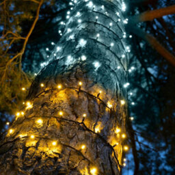 Christmas Tree World Crownvine 10M Dual Colour Fairy Lights Starter Set - 100 Leds Warm / Bright White - Black Rubber Cable - thumbnail 1