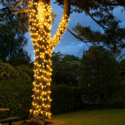 Christmas Tree World Crownvine 10M Dual Colour Fairy Lights Starter Set - 100 Leds Warm / Bright White - Black Rubber Cable - thumbnail 7
