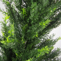 Leaf 120Cm Uv Artificial Cedar Cypress Topiary Uv Resistant - thumbnail 3