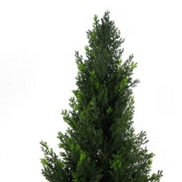 Leaf 120Cm Uv Artificial Cedar Cypress Topiary Uv Resistant - thumbnail 2