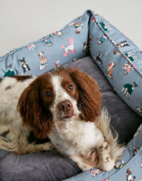 Joules Rainbow Dogs Box Bed Large 80Cm X 62Cm X 27Cm - thumbnail 5