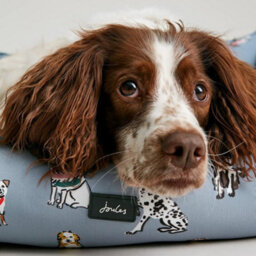 Joules Rainbow Dogs Box Bed Large 80Cm X 62Cm X 27Cm - thumbnail 6