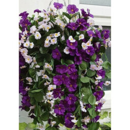 Artificial Hanging Basket Flowers Plants Garden Grass Trailin Rose Ivy Leaf Fern - 2 Basket Displays - thumbnail 6
