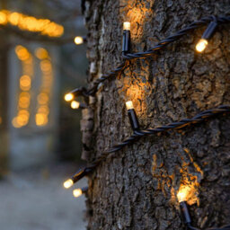 Festive Lights - Connectpro 5M Warm White Outdoor Ip65 Connectable Led Christmas Fairy String Lights - With Plug - thumbnail 3